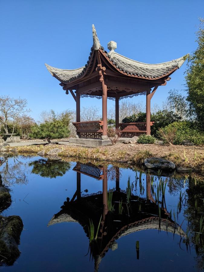 High Point Guesthouse - Next To Seattle Chinese Garden Exterior foto